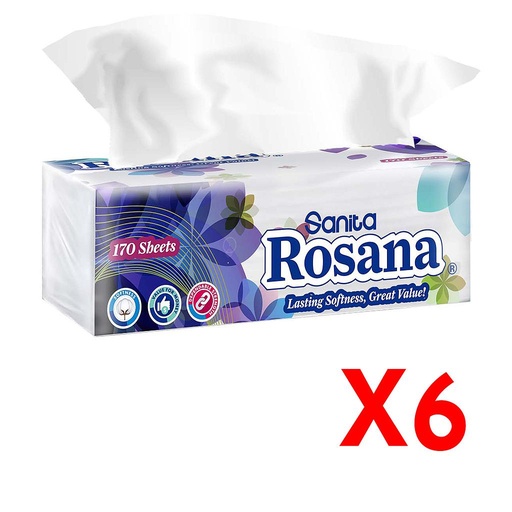 Rosana Tissues 170g *6