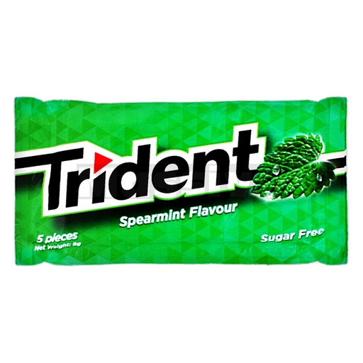 Trident Mint Gum 8g